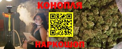 мяу мяу мука Баксан