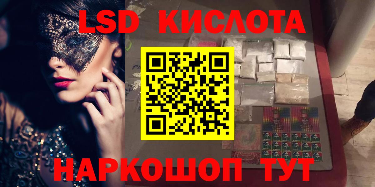Галлюциногенные грибы Торжок