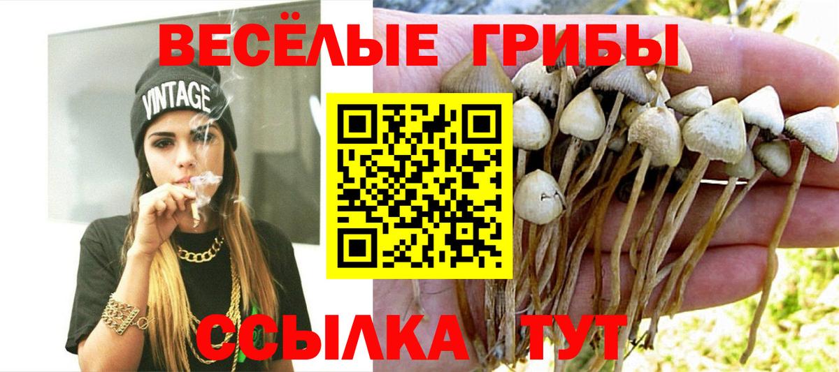 где купить наркоту  Галлюциногенные грибы мицелий  Вход с VPN  Торжок 